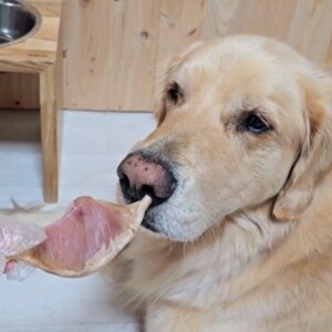 엄마가준생선,동해형씨 원물건조 가오리 60g 강아지 수제간식