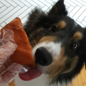 엄마가준생선,동해형씨 원물건조 가오리 60g 강아지 수제간식